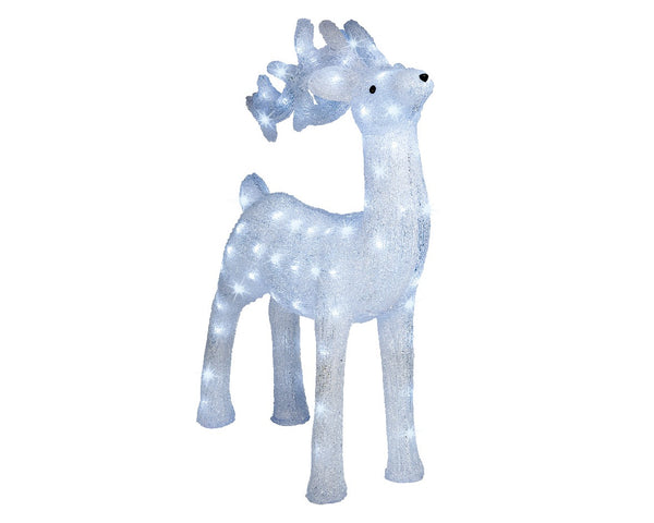 Cerf debout illuminé avec lapin, renard et poitrine rouge extérieur (Nouveau)