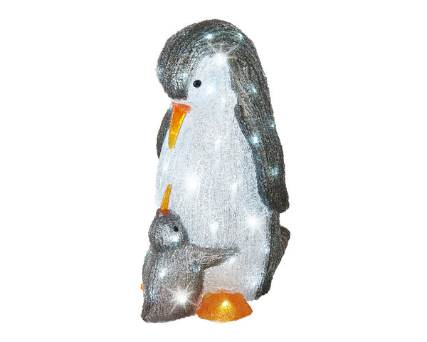 Pingouin illuminé