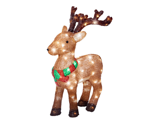 Cerf debout illuminé avec lapin, renard et poitrine rouge extérieur (Nouveau)