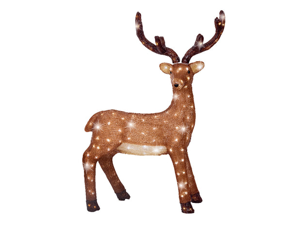 Cerf debout illuminé avec lapin, renard et poitrine rouge extérieur (Nouveau)