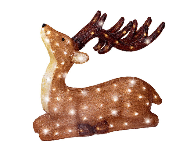 Cerf debout illuminé avec lapin, renard et poitrine rouge extérieur (Nouveau)