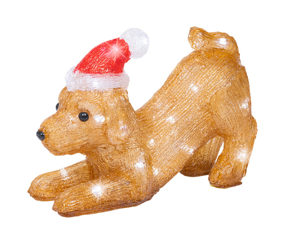 Husky éclairé (Nouveau)