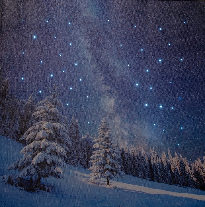 Kerstdecoratie De Smedt Verlichte kerstschilderij met levensechte vallende ster klein (Nieuw)